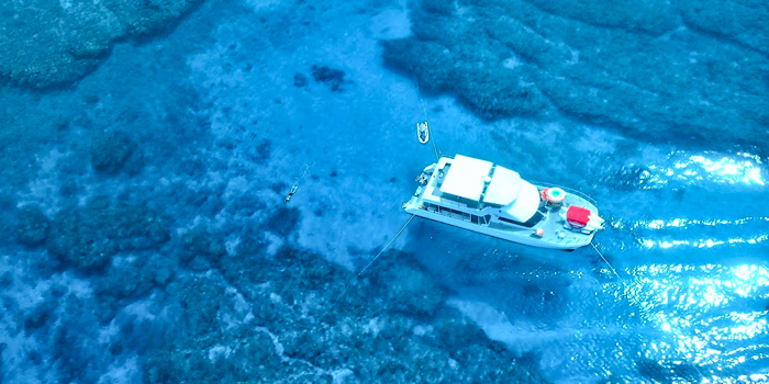 慶良間諸島シュノーケル
