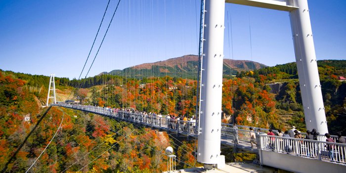 九重“夢”大吊橋