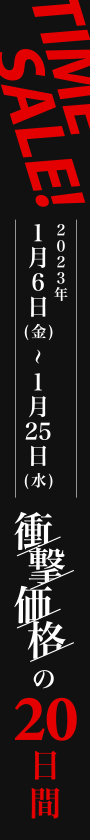 タイムセール！衝撃価格の20日間