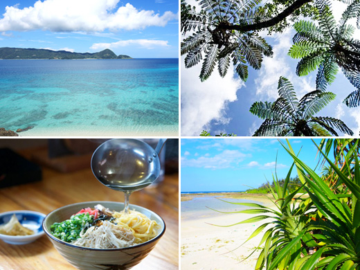 マイプラン奄美