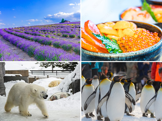 マイプラン旭川