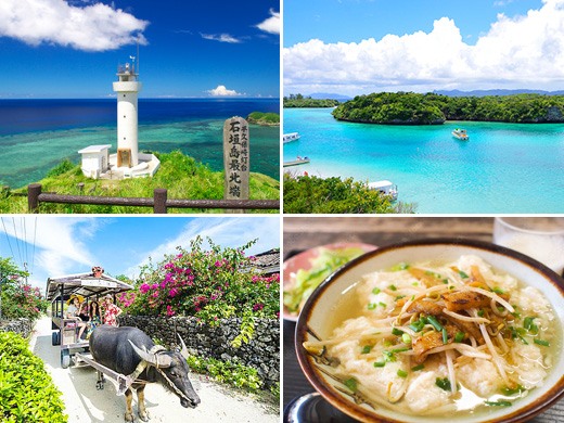 マイプラン石垣